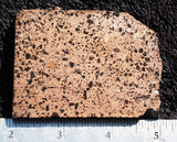 Copper Rock Slab 0101