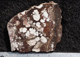 Wild Horse Magnesite Rock slab 21
