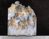 Graveyard Point Plume Agate Rock slab 59