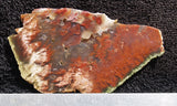 Mexican Flame Agate Rock Slab 03