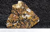 Cheetah Agate Rock Slab 04