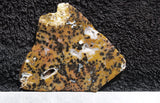 Cheetah Agate Rock Slab 04