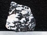 Zebra Lace Agate Rock Slab 09