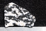 Zebra Lace Agate Rock Slab 12
