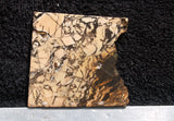 Yellow Feather Jasper Rock Slab 10