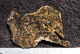 Cheetah Agate Rock Slab 08