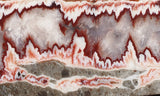 Forest Fire Plume Agate Rock Slab 08