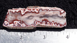 Forest Fire Plume Agate Rock Slab 05
