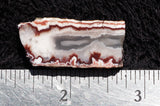Forest Fire Plume Agate Rock Slab 15