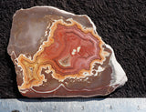 Dryhead Agate Rock Slab 07