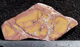 Sonoran Dendritic Rhyolite Rock slab 24