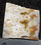 Graveyard Point Plume Agate Rock slab 31