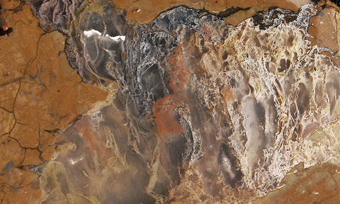 Priday Plume Agate  Rock slab 72