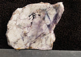 Tiffany Stone Rock Slab 23