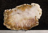 Sagenite Agate Rock Slab 28