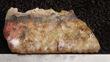 Graveyard Point Plume Agate Rock Slab 57