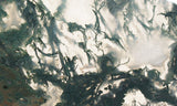 Oregon Moss Agate Rock Slab 28