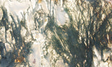 Oregon Moss Agate Rock Slab 25