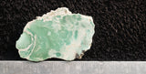 Variscite Rock Slab 36