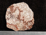 Rosetta Lace Rock Slab 07