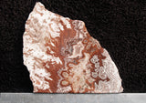 Rosetta Lace Rock Slab 13