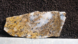 Sheep Creek Plume Agate Slab 08