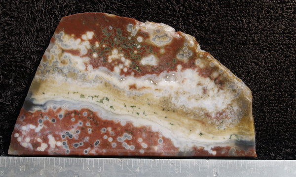 Ocean Jasper Rock slab 71 – DD Rocks