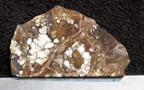Wild Horse Magnesite Rock Slab 97