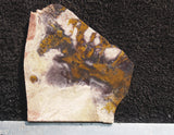 Indian Blanket Rock Slab 14