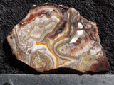 Mexican Crazy Lace Agate Rock slab 53