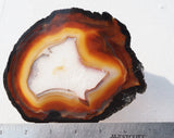 Brazilian Agate Polished Rock slab 0035