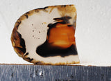 Montana Agate Rock Slab 499