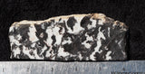 Zebra Lace Agate Rock Slab 25