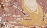 Sonoran Dendritic Rhyolite Slab 41