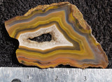Condor Agate Rock Slab 58