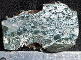 Oregon Moss Agate Rock Slab 13