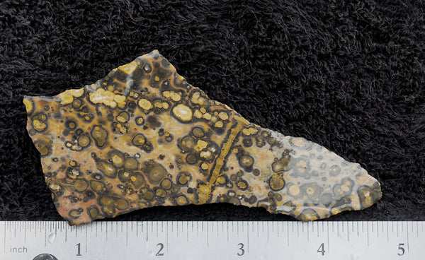 Leopard Skin Jasper Rock Slab 15 – DD Rocks