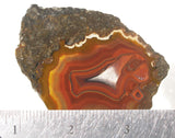 Condor Agate Rock Slab 71