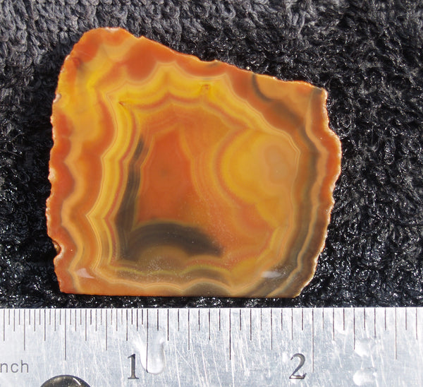 Condor Agate Rock slab 07 – DD Rocks