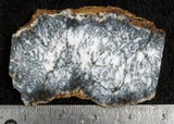 Australian Dendritic Opal Rock slab 77